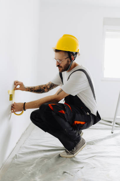 Trusted Hollywood Park, TX Dry wall and painting Experts